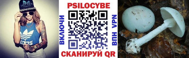 Галлюциногенные грибы мицелий  Смоленск 